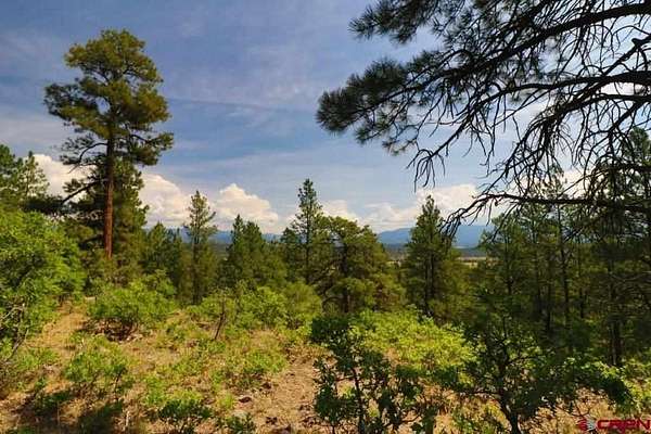 5.3 Acres of Residential Land for Sale in Pagosa Springs, Colorado