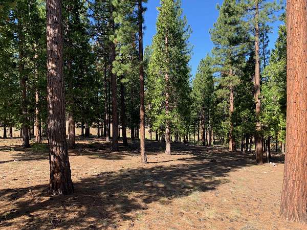 0.5 Acres of Residential Land for Sale in Portola, California