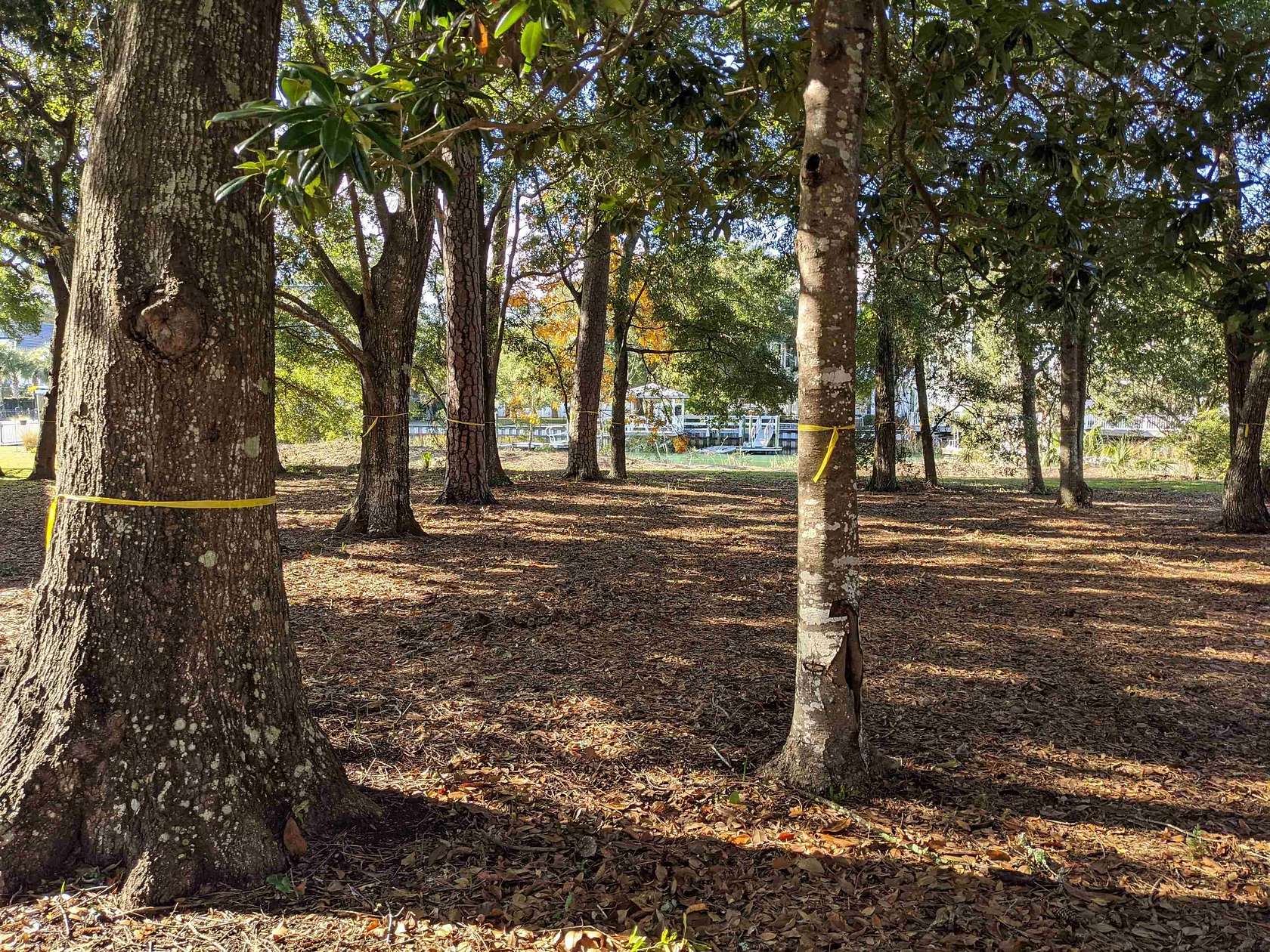 0.29 Acres of Residential Land for Sale in Murrells Inlet, South Carolina