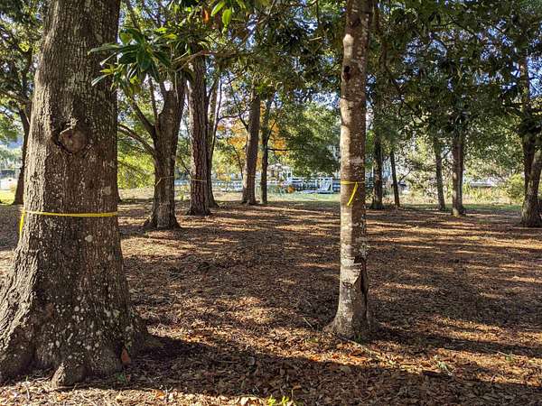 0.29 Acres of Residential Land for Sale in Murrells Inlet, South Carolina