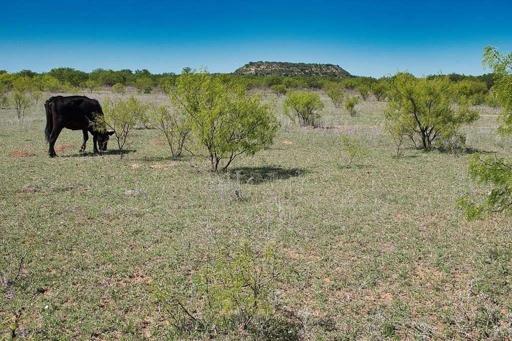34 Acres of Land for Sale in Mason, Texas