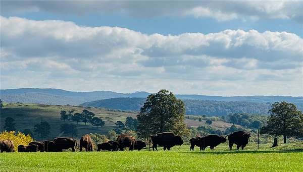 4,000 Acres of Land for Sale in Kingston, Arkansas