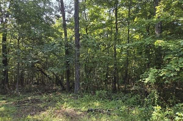 0.41 Acres of Residential Land for Sale in Bella Vista, Arkansas