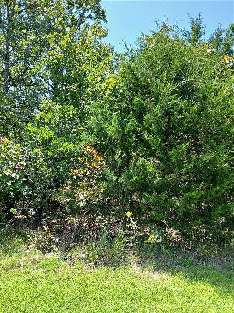 0.15 Acres of Land for Sale in Briarcliff, Arkansas