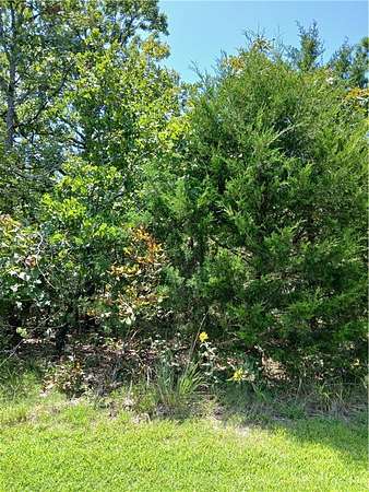 0.15 Acres of Land for Sale in Briarcliff, Arkansas