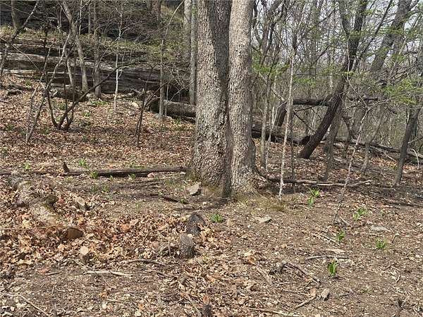 0.08 Acres of Residential Land for Sale in Garfield, Arkansas