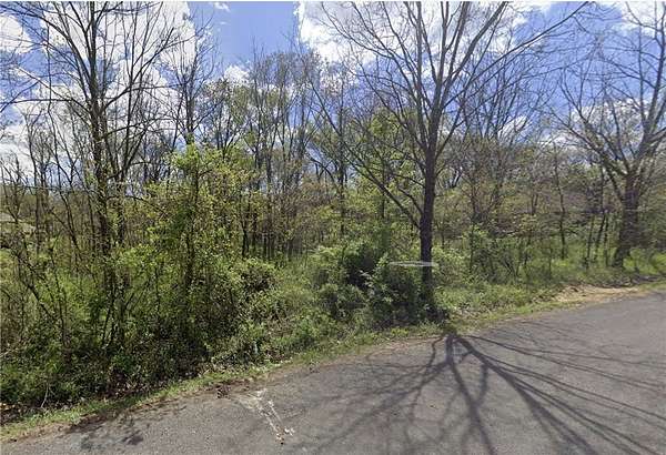 0.29 Acres of Land for Sale in Bella Vista, Arkansas