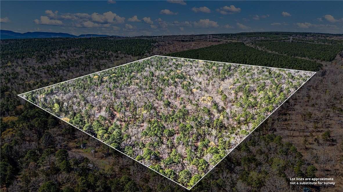 40 Acres of Recreational Land for Sale in Delaware, Arkansas