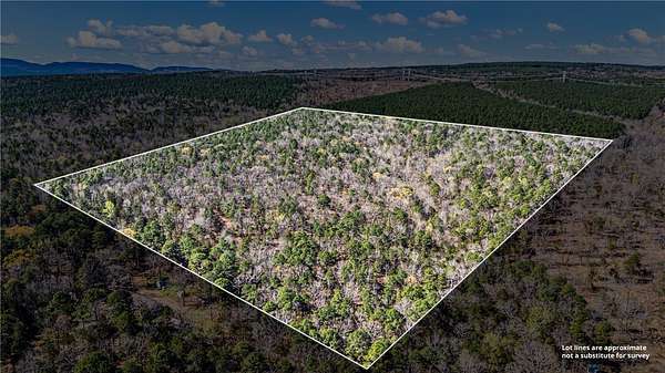 40 Acres of Recreational Land for Sale in Delaware, Arkansas