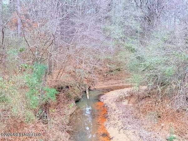 42 Acres of Recreational Land for Sale in Gloster, Mississippi