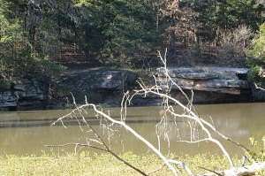 26.5 Acres of Recreational Land for Sale in London, Arkansas