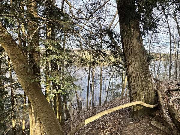 0.62 Acres of Residential Land for Sale in Newaygo, Michigan