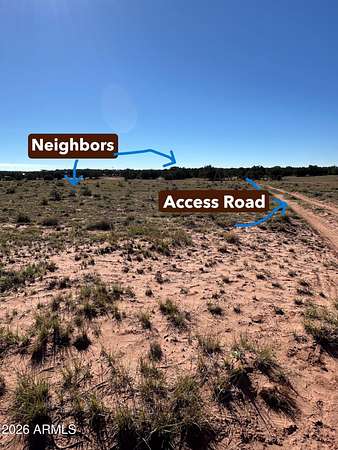 40.9 Acres of Land for Sale in Show Low, Arizona