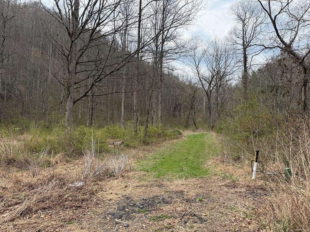 180 Acres of Recreational & Residential Land for Sale in Robinson Creek, Kentucky