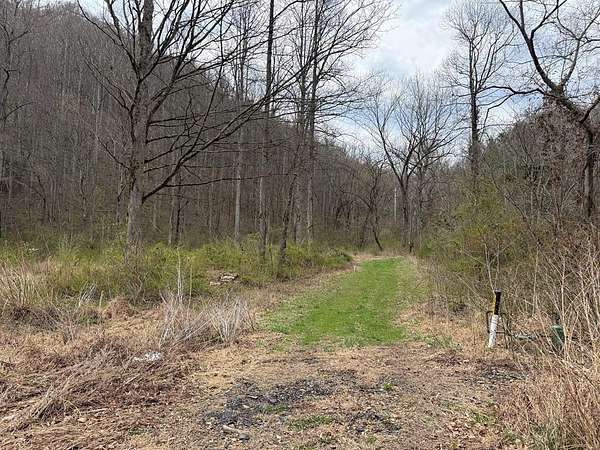 180 Acres of Recreational & Residential Land for Sale in Robinson Creek, Kentucky