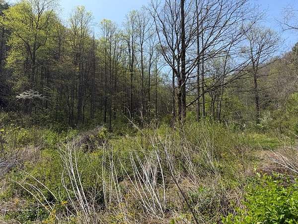 180 Acres of Recreational & Residential Land for Sale in Robinson Creek, Kentucky