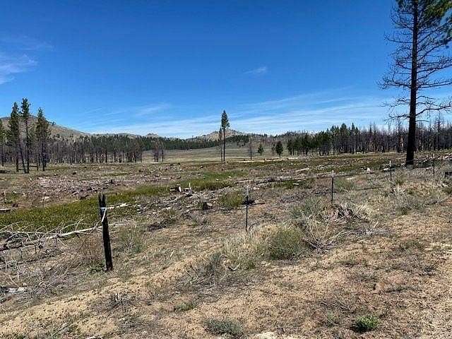 20.4 Acres of Land for Sale in Doyle, California