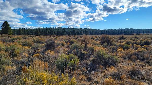 20 Acres of Recreational Land for Sale in Sprague River, Oregon