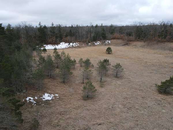 76.7 Acres of Recreational Land for Sale in Curran, Michigan