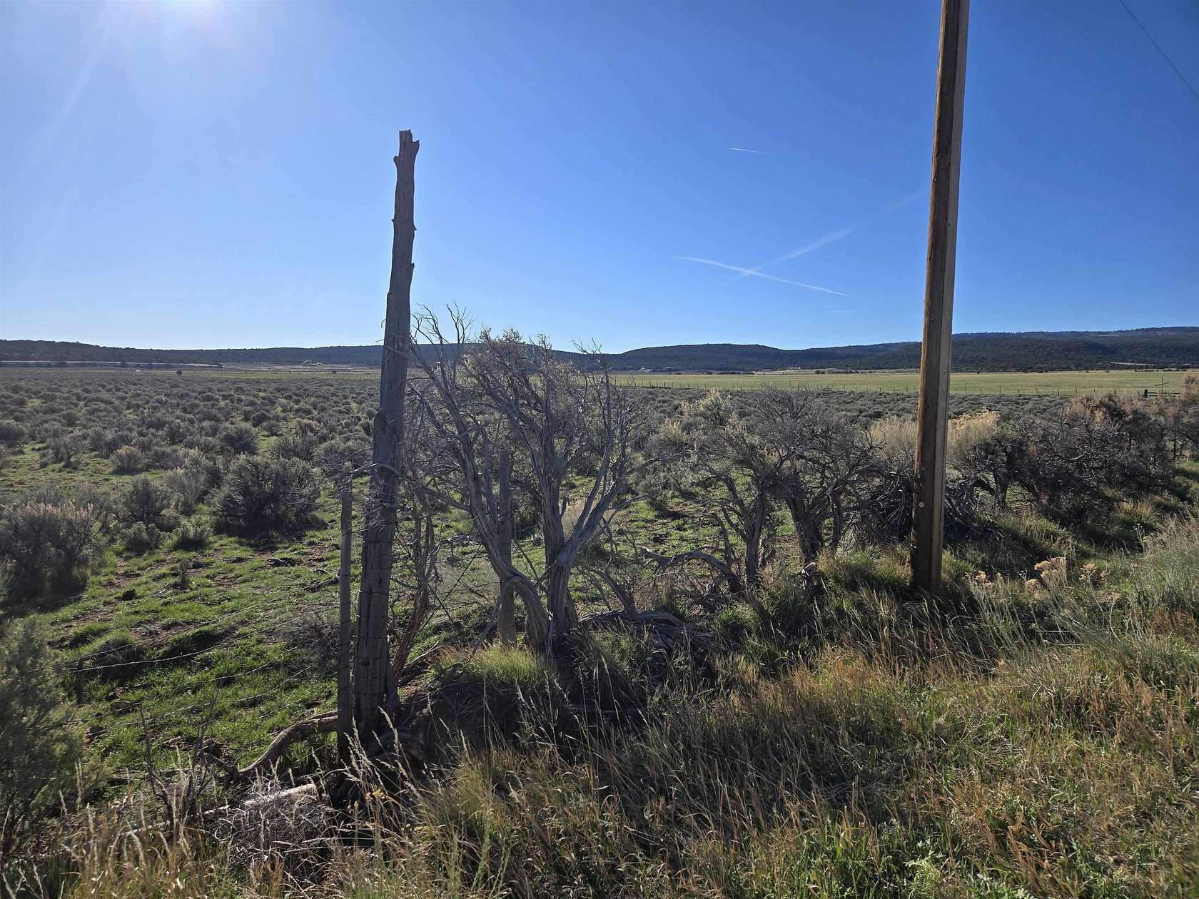 109 Acres of Agricultural & Residential Land for Sale in Glade Park, Colorado