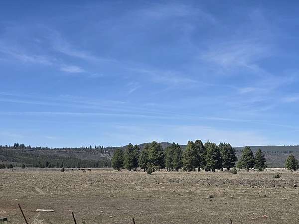 120 Acres of Recreational Land for Sale in Sprague River, Oregon