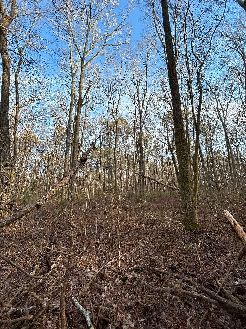 0.5 Acres of Residential Land for Sale in Chesapeake, Virginia