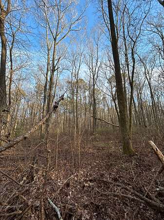 0.5 Acres of Residential Land for Sale in Chesapeake, Virginia