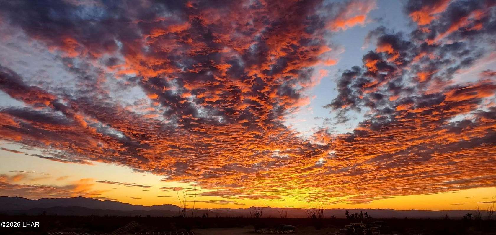 40 Acres of Land for Sale in Yucca, Arizona