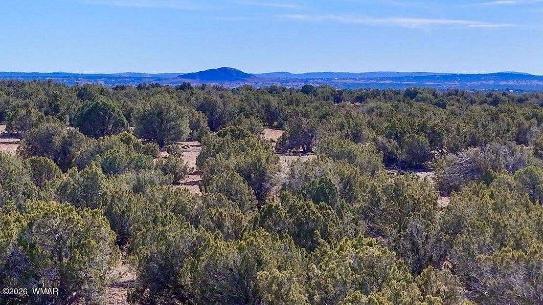 10 Acres of Recreational & Residential Land for Sale in Show Low, Arizona
