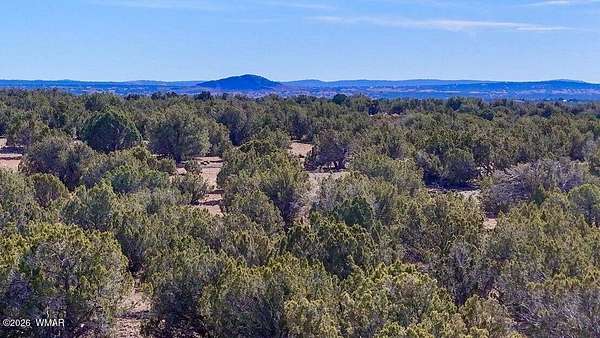 10 Acres of Recreational & Residential Land for Sale in Show Low, Arizona
