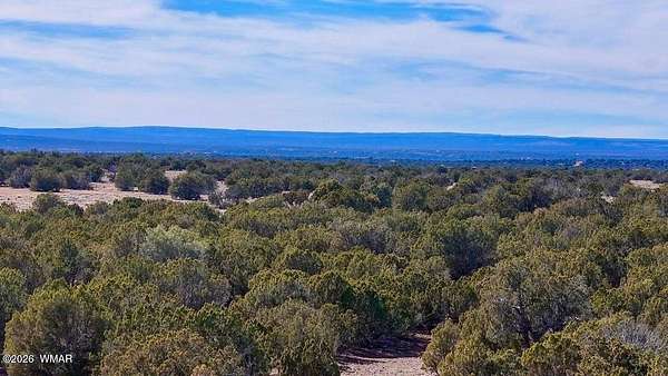 10 Acres of Recreational & Residential Land for Sale in Show Low, Arizona
