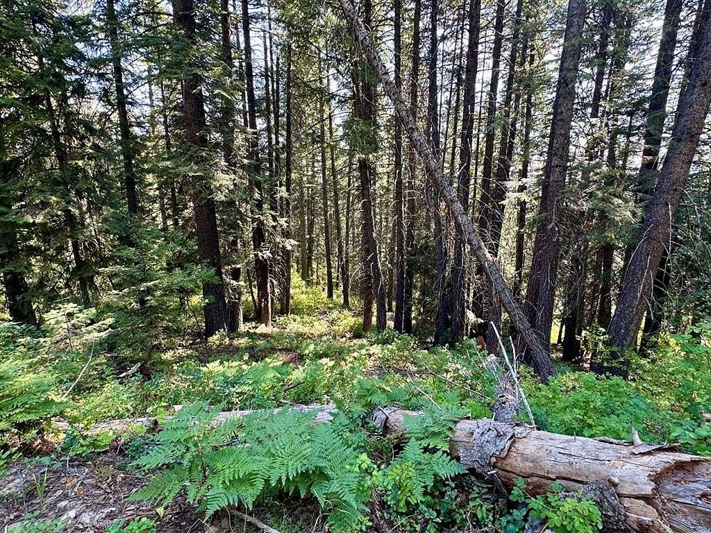 1.9 Acres of Land for Sale in Donnelly, Idaho