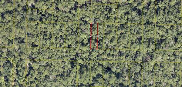 0.06 Acres of Residential Land for Sale in DeFuniak Springs, Florida