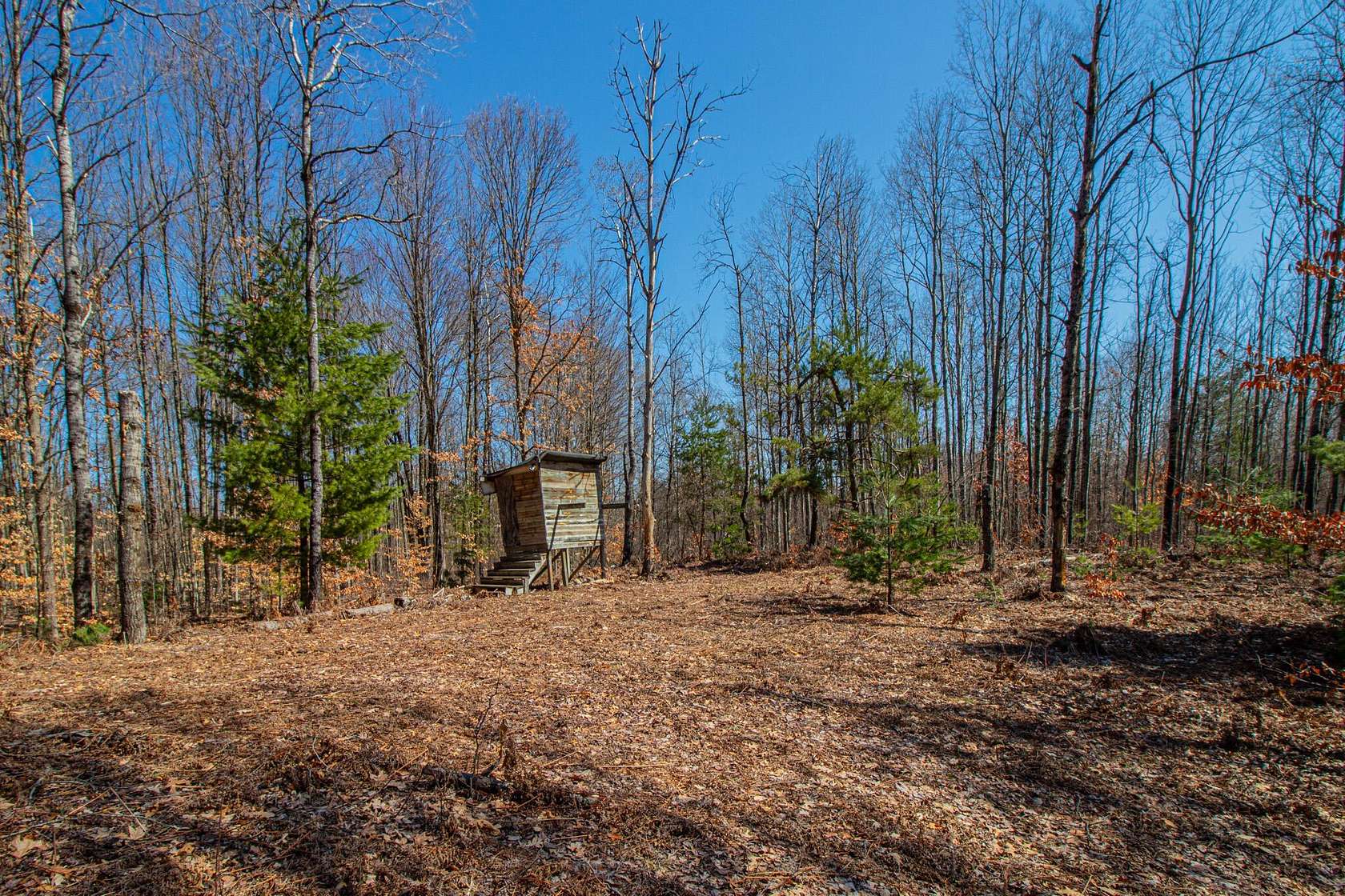 10 Acres of Recreational Land for Sale in White Cloud, Michigan