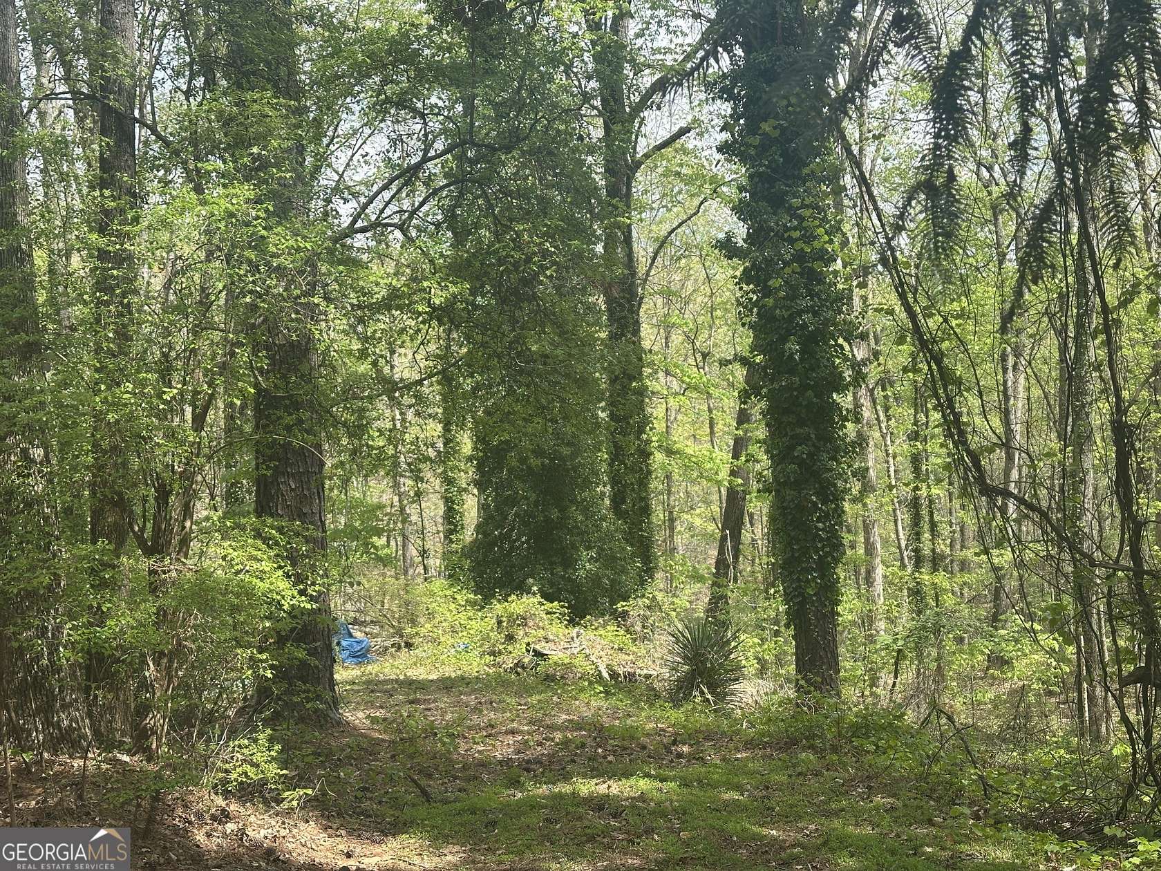 12.7 Acres of Land for Sale in Douglasville, Georgia