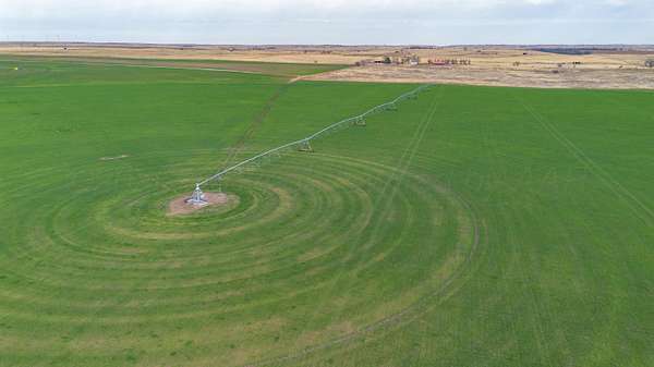 652 Acres of Agricultural Land for Sale in Mobeetie, Texas