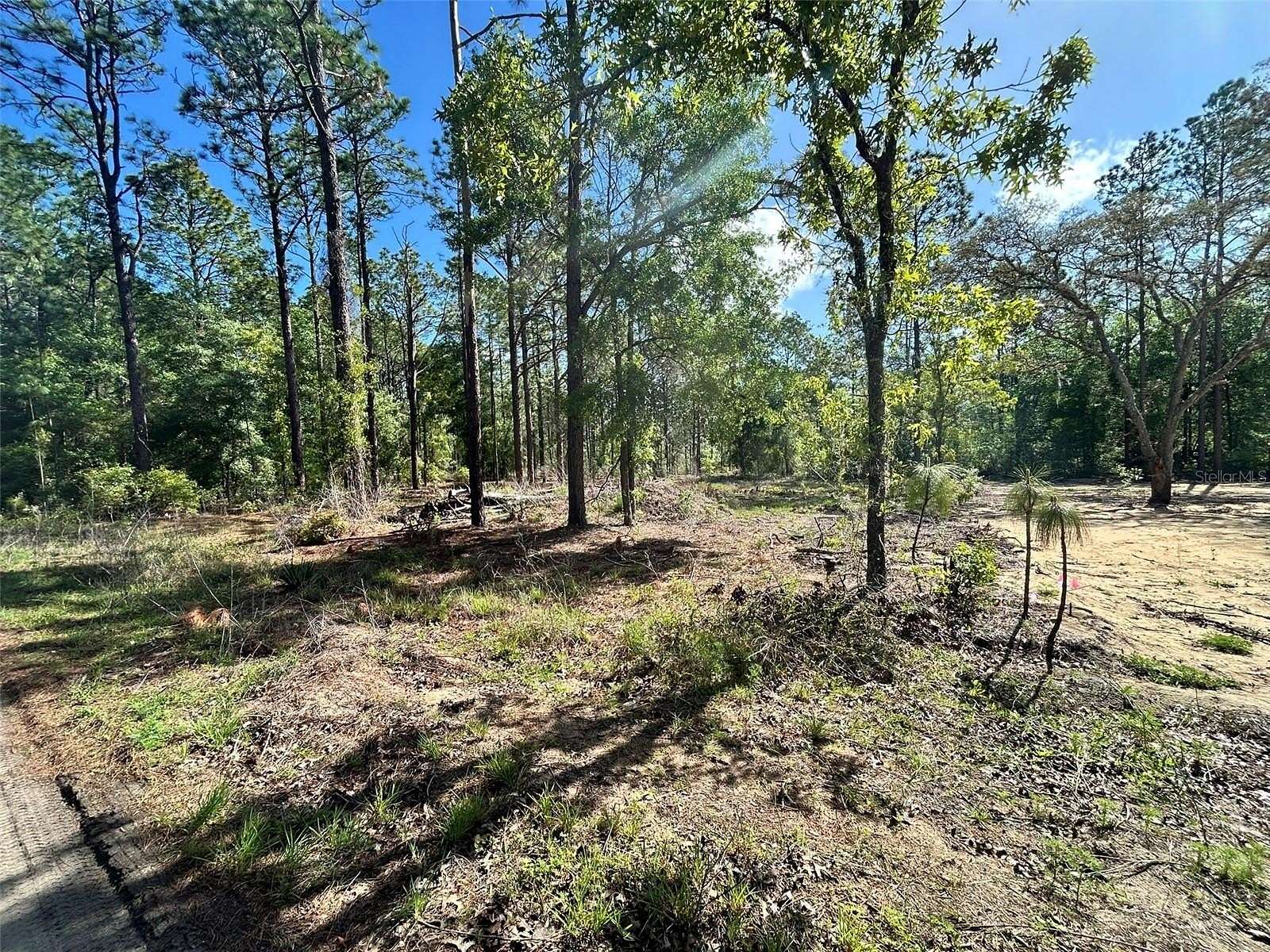 0.25 Acres of Residential Land for Sale in Ocala, Florida