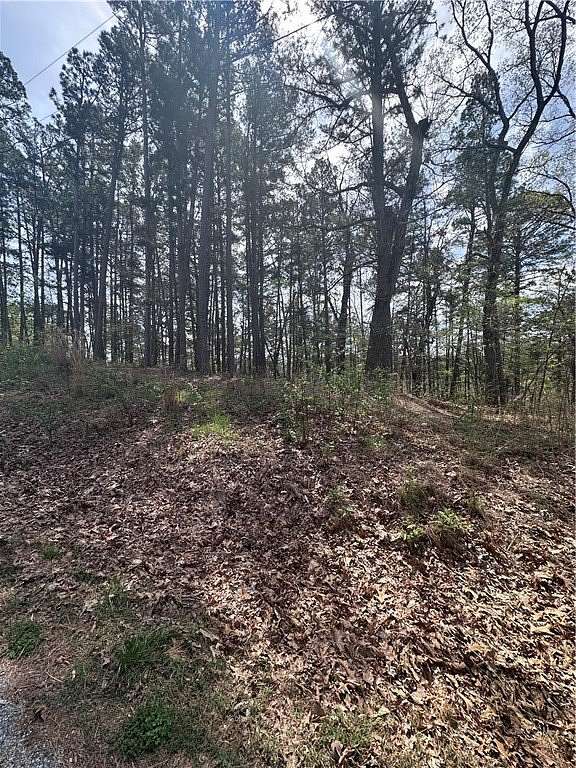 0.29 Acres of Land for Sale in Bella Vista, Arkansas