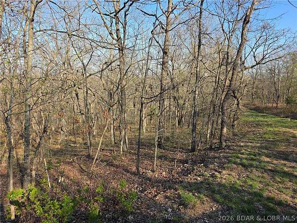 3.9 Acres of Residential Land for Sale in Edwards, Missouri