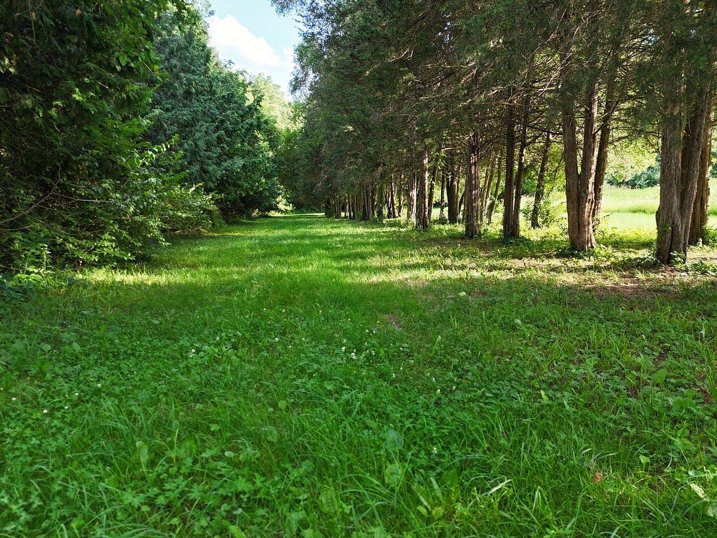 10.1 Acres of Recreational & Residential Land for Sale in Freeport, Illinois