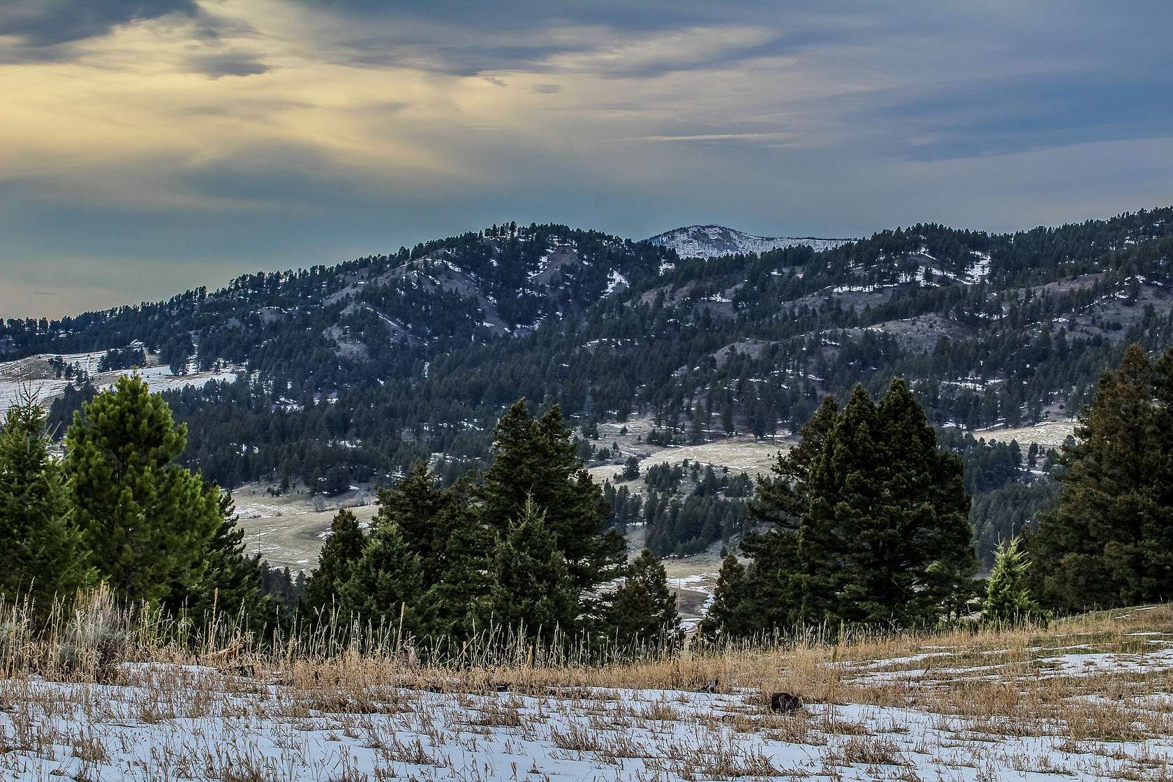 19.7 Acres of Land for Sale in Bozeman, Montana