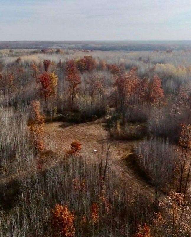 40 Acres of Recreational Land for Sale in Sandstone, Minnesota