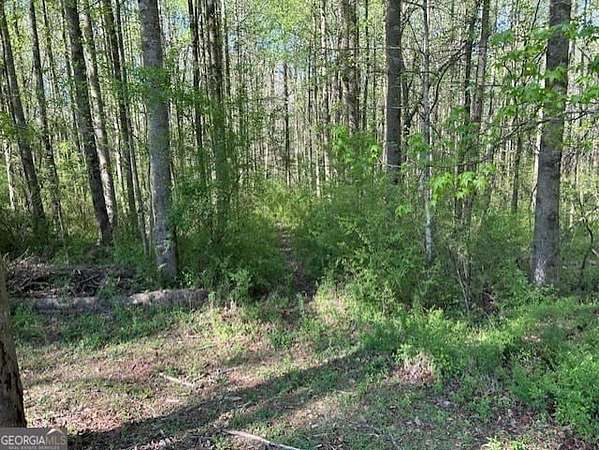7.65 Acres of Residential Land for Sale in Clarkesville, Georgia