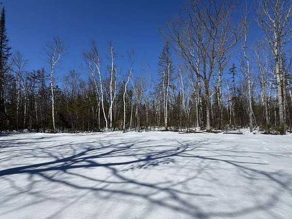 0.52 Acres of Residential Land for Sale in Presque Isle, Michigan