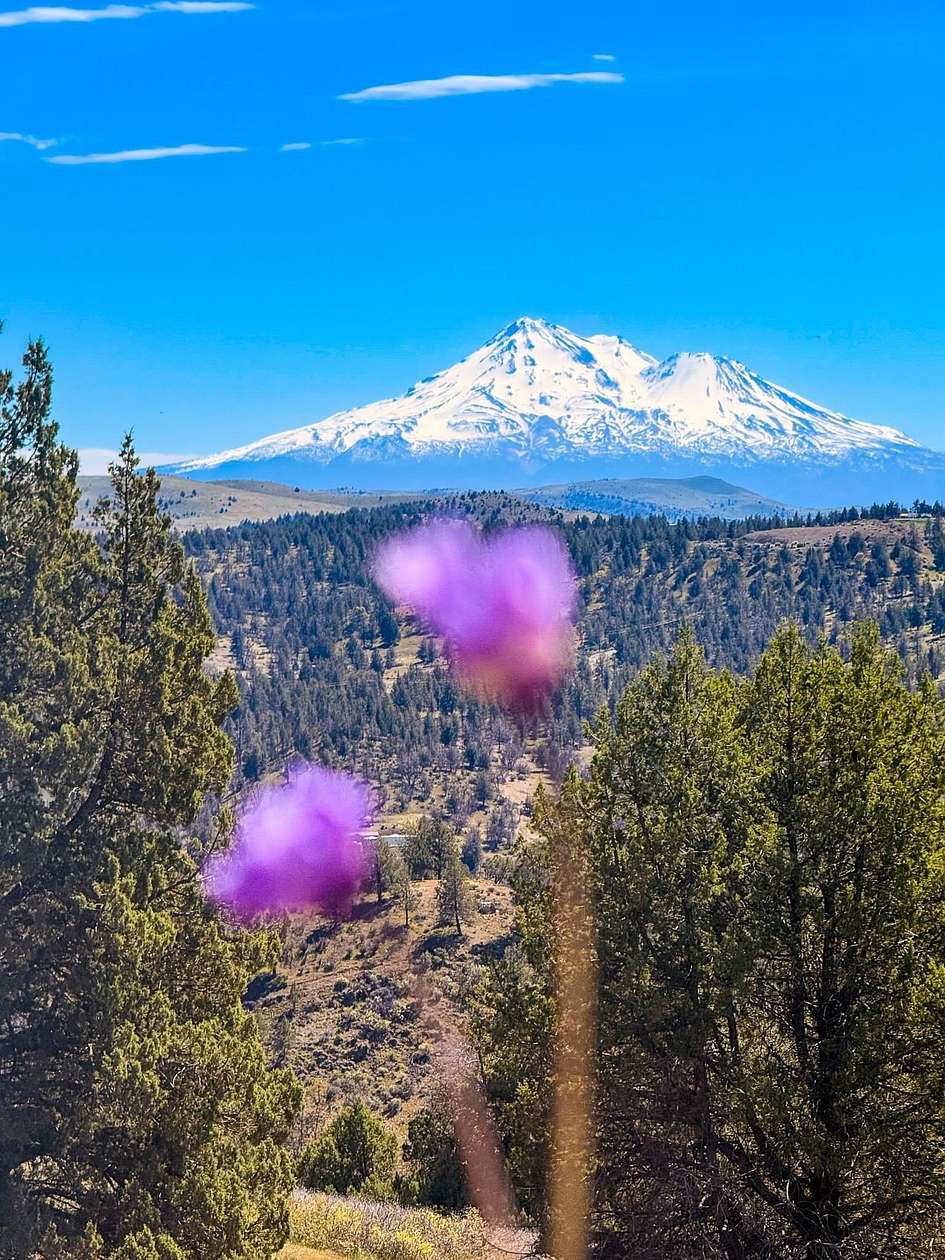 40 Acres of Recreational & Residential Land for Sale in Montague, California