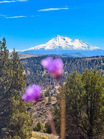 40 Acres of Recreational & Residential Land for Sale in Montague, California