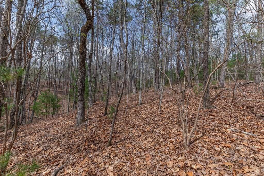 1.13 Acres of Land for Sale in Ellijay, Georgia