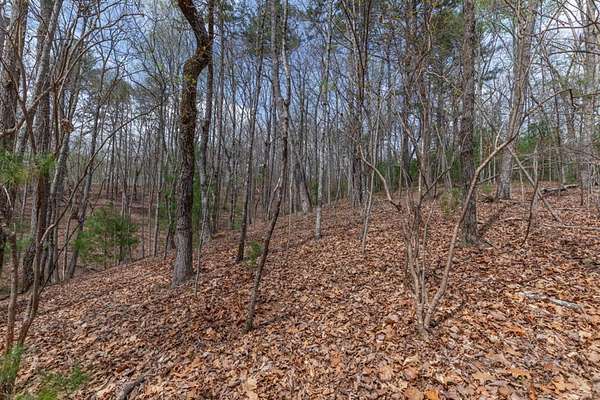 1.13 Acres of Land for Sale in Ellijay, Georgia