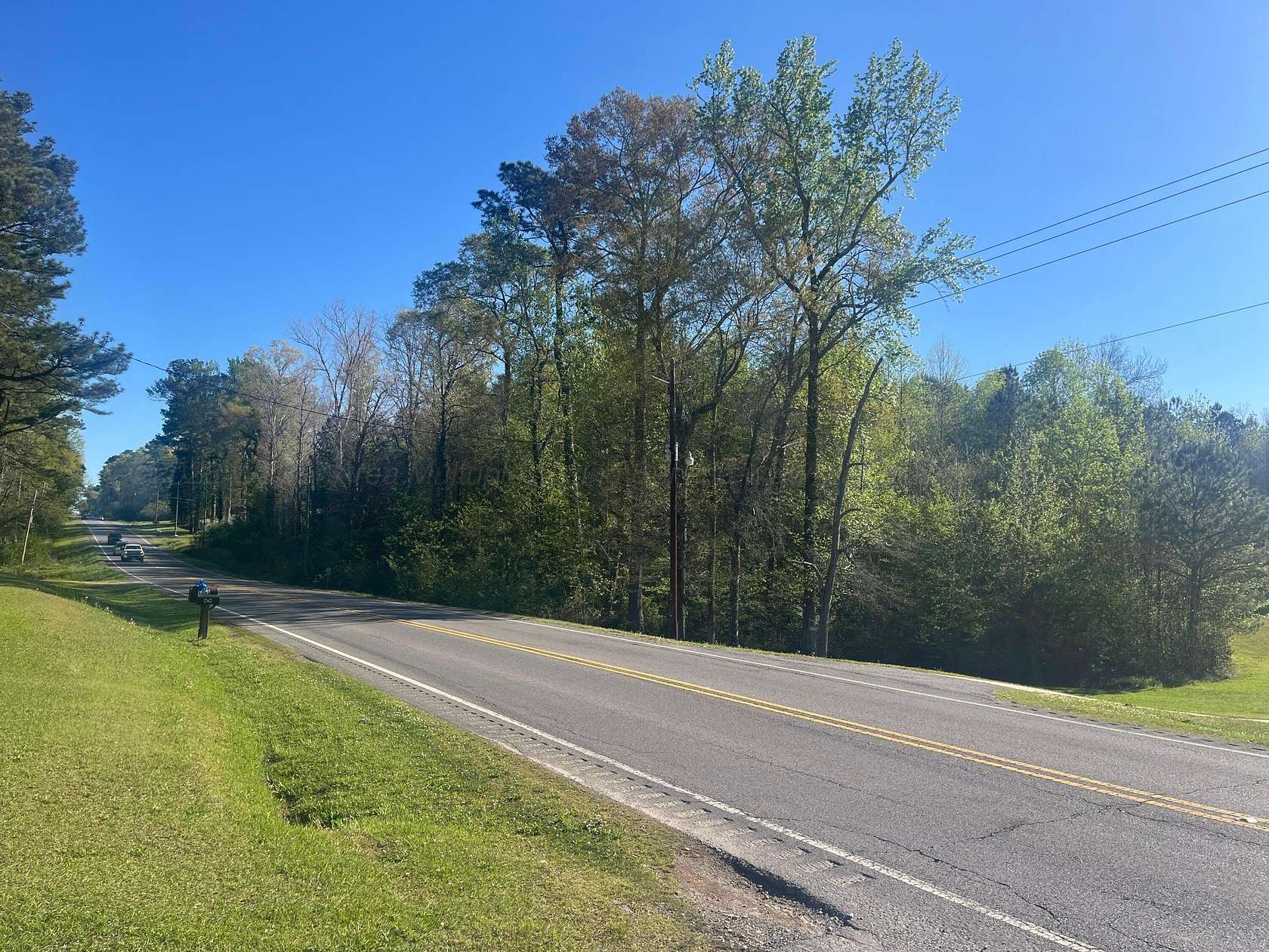 14 Acres of Land for Sale in Jasper, Alabama