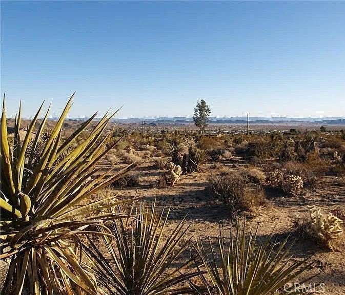 2.5 Acres of Residential Land for Sale in Joshua Tree, California